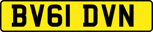 BV61DVN