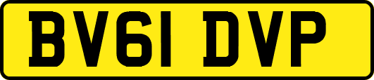BV61DVP
