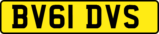 BV61DVS