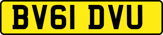 BV61DVU
