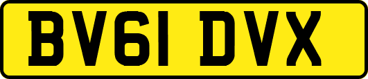 BV61DVX