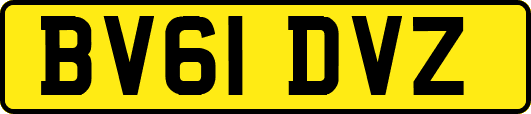 BV61DVZ