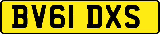 BV61DXS