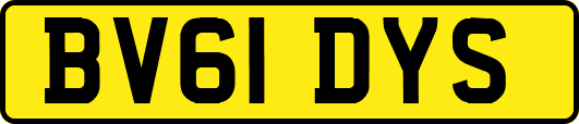 BV61DYS