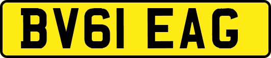 BV61EAG