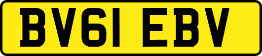 BV61EBV