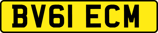 BV61ECM