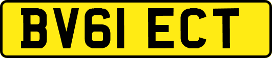 BV61ECT