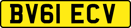 BV61ECV