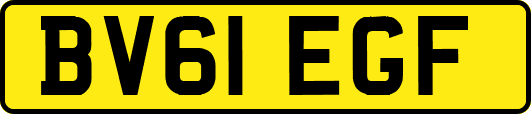 BV61EGF
