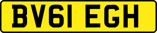 BV61EGH