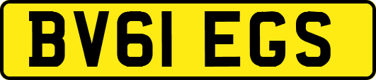 BV61EGS