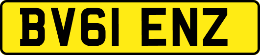 BV61ENZ