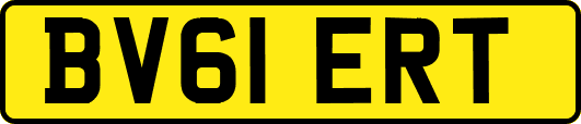 BV61ERT