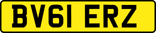 BV61ERZ