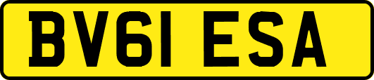BV61ESA