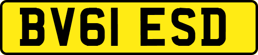 BV61ESD