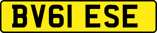 BV61ESE