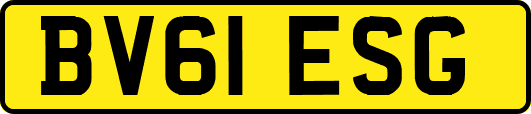 BV61ESG