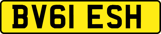 BV61ESH