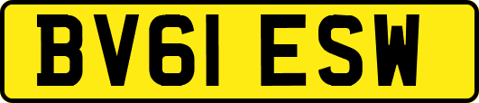BV61ESW