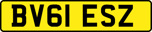 BV61ESZ