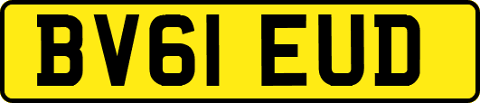 BV61EUD