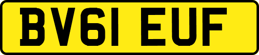 BV61EUF