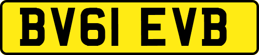 BV61EVB