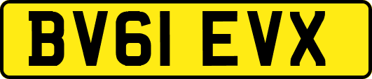 BV61EVX