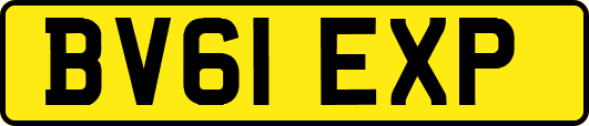 BV61EXP