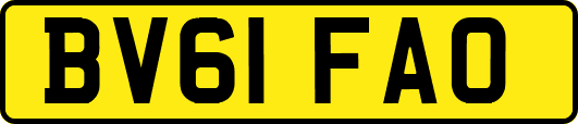 BV61FAO