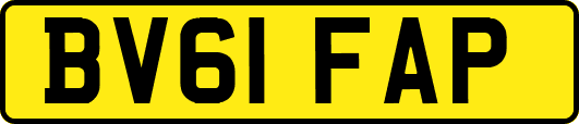 BV61FAP
