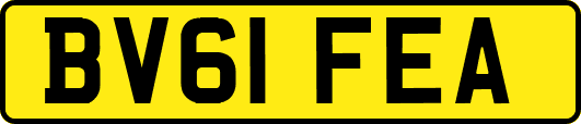 BV61FEA