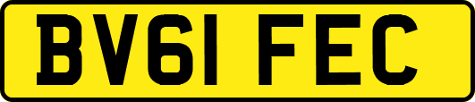 BV61FEC