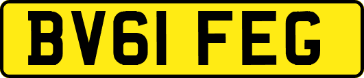 BV61FEG