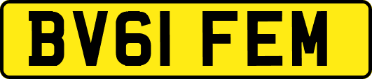 BV61FEM