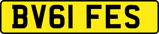 BV61FES