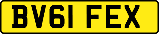 BV61FEX