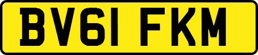 BV61FKM