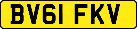 BV61FKV