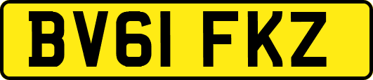 BV61FKZ
