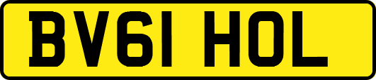 BV61HOL