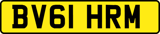 BV61HRM