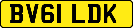 BV61LDK