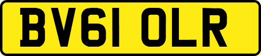 BV61OLR