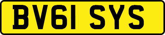 BV61SYS