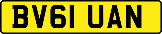 BV61UAN