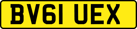 BV61UEX