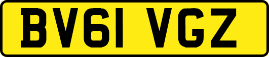 BV61VGZ